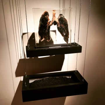 mexican artist Carlos Aguirre contemporary art