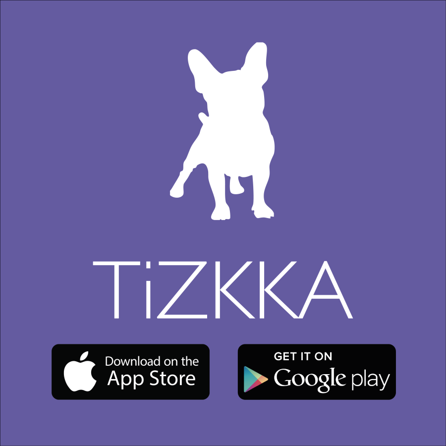 TiZKKA logo download
