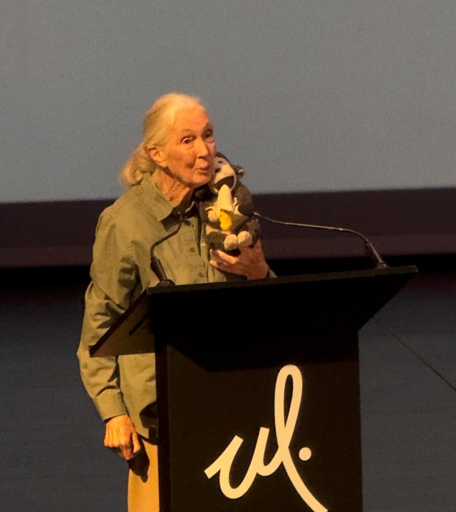 Dr. Jane Goodall delivers a speech at her last conference in Mexico City, holding her beloved chimpanzee toy. She stands behind a black podium.